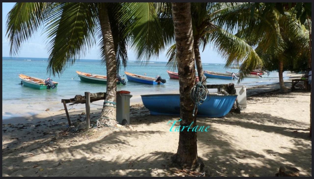 לה טריניטה Les Bungalows De La Plage מראה חיצוני תמונה